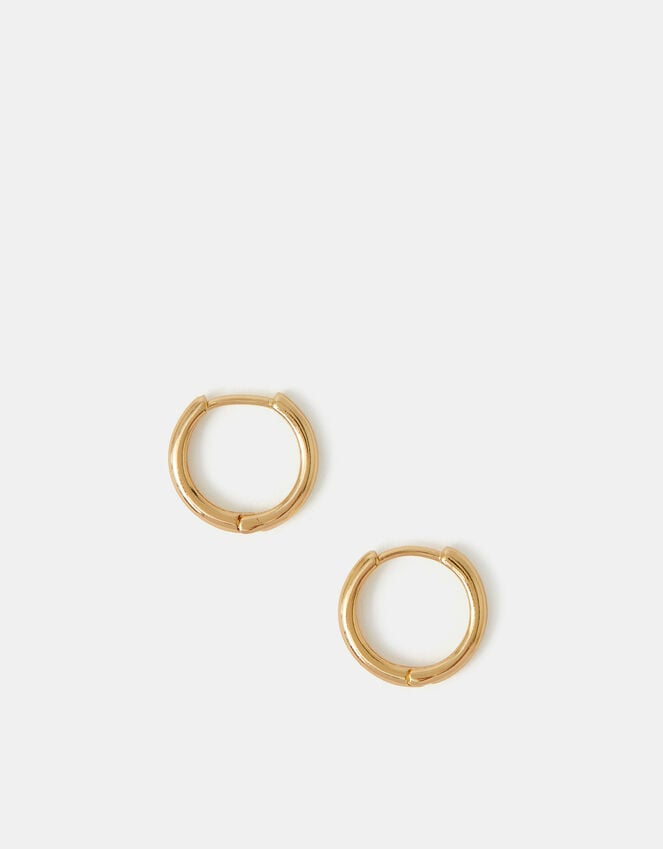 Accessorize Small Hoop Earrings