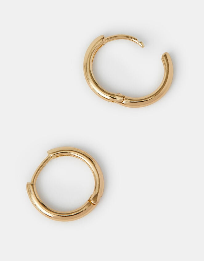 accessorize Small Hoop Earrings