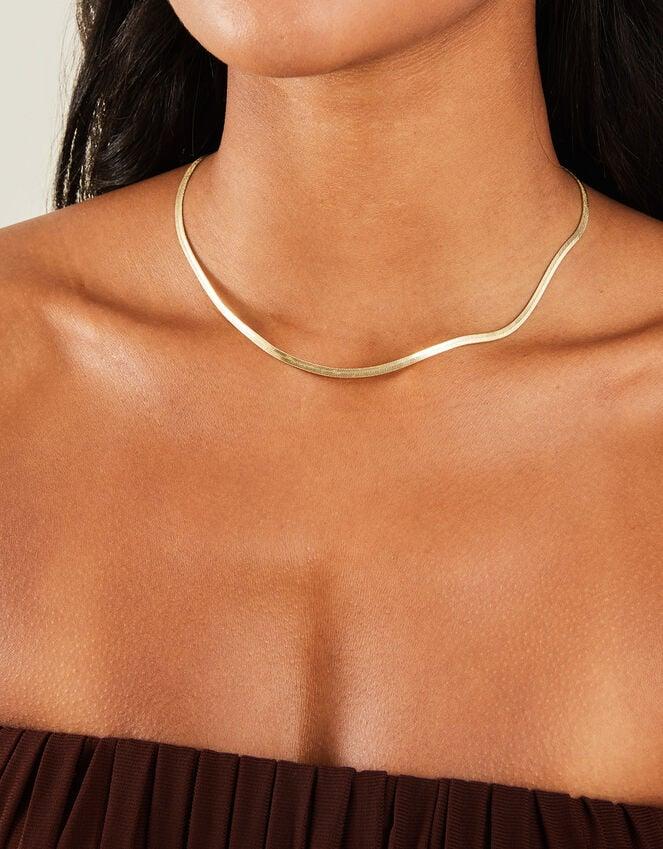 Accessorize Stainless Steel Omega Chain Necklace