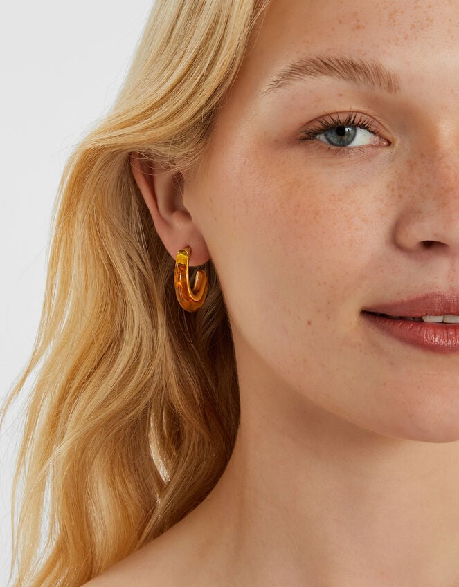 Accessorize Tort Resin Hoop Earrings