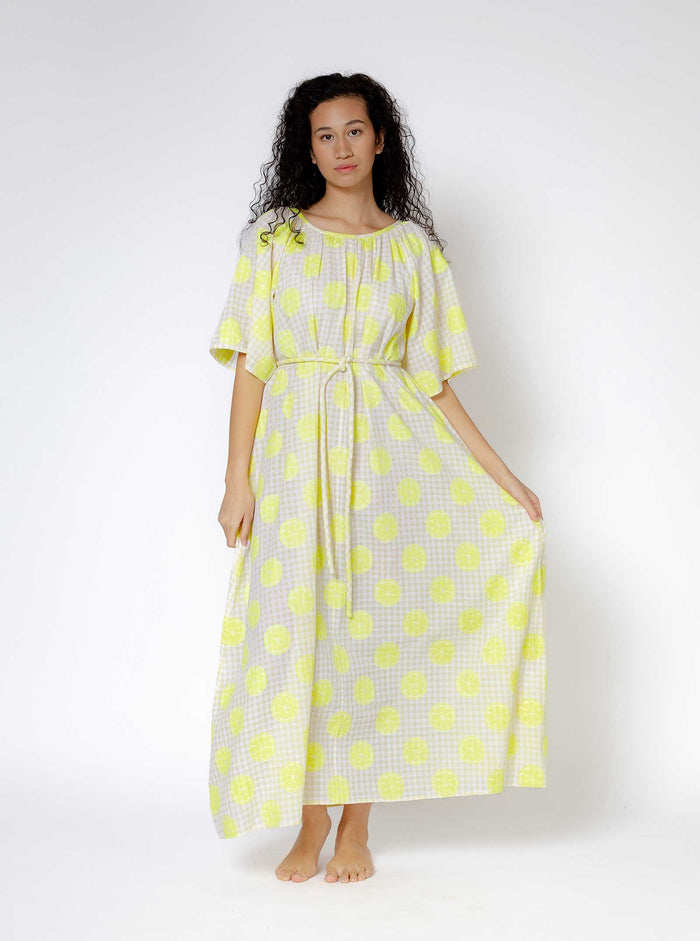 Ace & Jig Asha Dress | Spring 25 | Lemonade