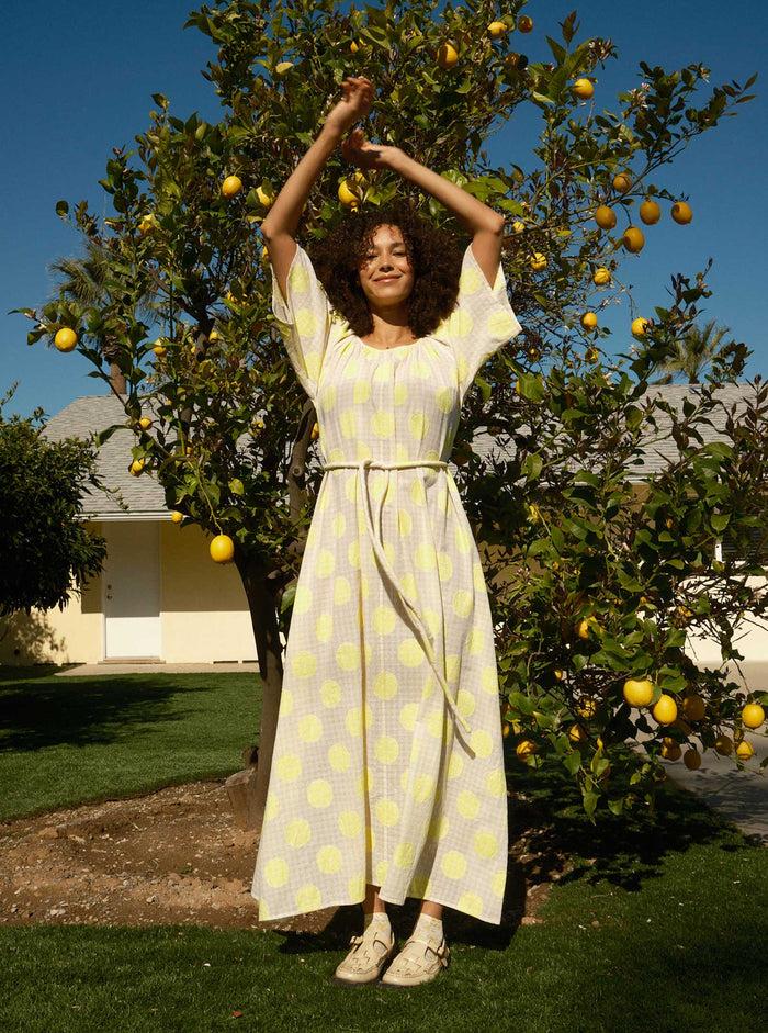 ace & jig asha dress | spring 25 | lemonade