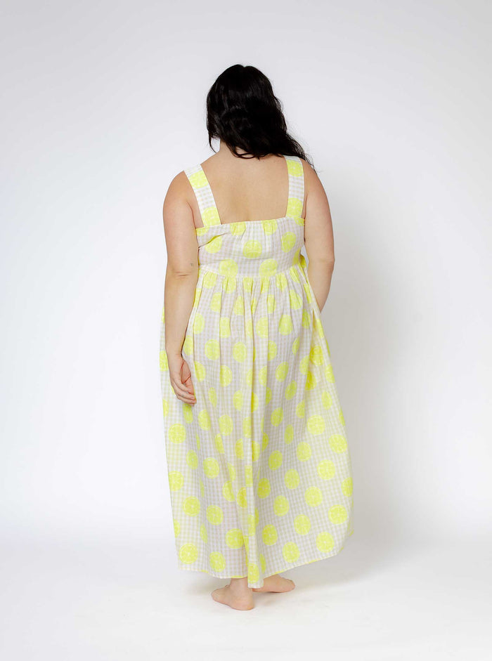 Ace & Jig Gabby Dress | Spring 25 | Lemonade