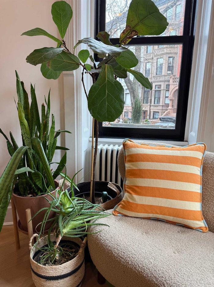 Ace & Jig Hug Piped Pillow | Home | Cantina