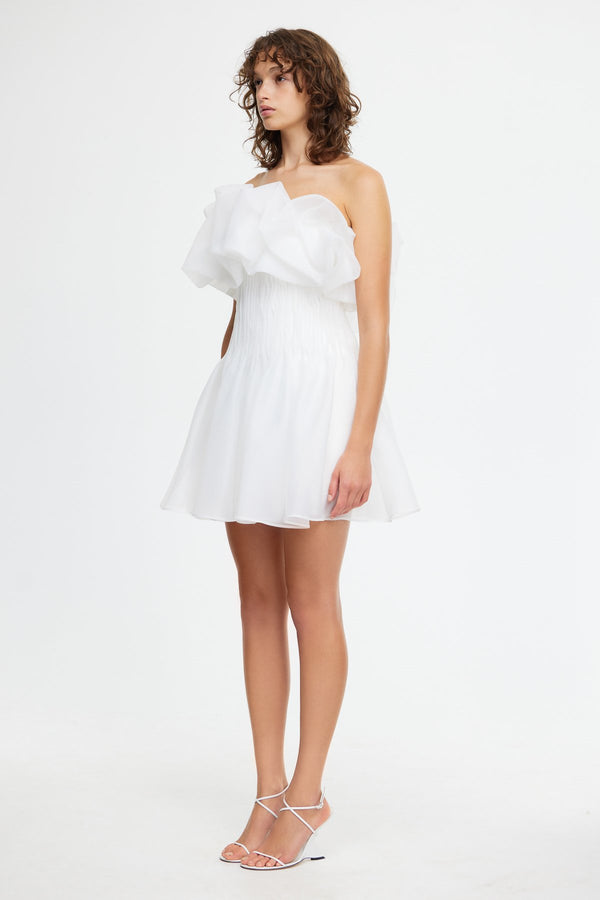 Acler CLEMENTS MINI DRESS