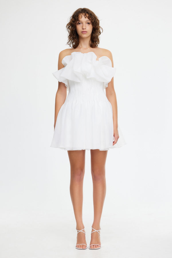 acler CLEMENTS MINI DRESS