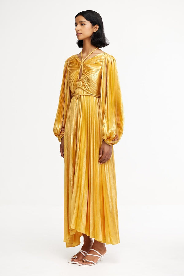 Acler LANESFIELD MAXI DRESS