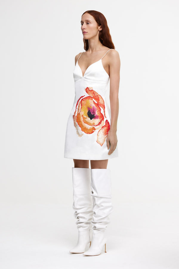 Acler PENDOYLAN MINI DRESS