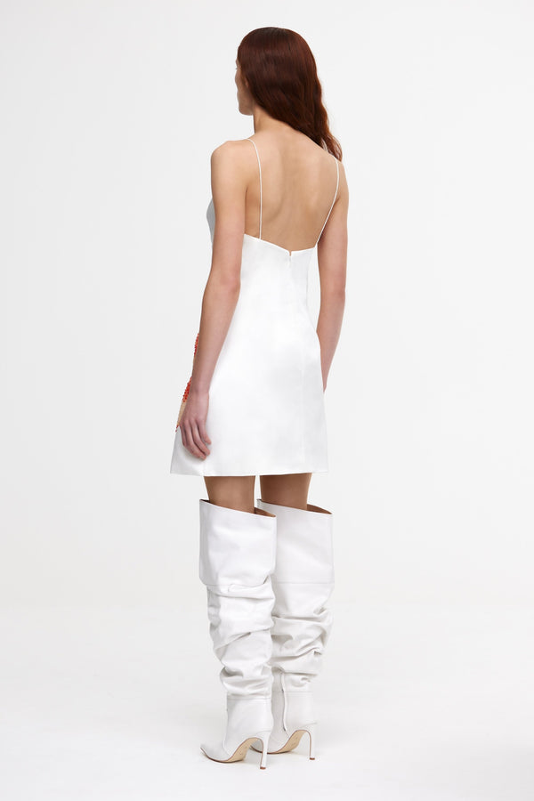 Acler PENDOYLAN MINI DRESS