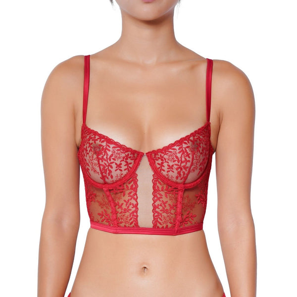 addiction lingerie HUIT EGLANTINE BUSTIER