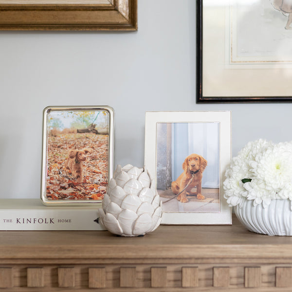 Addison Ross White Snake & Silver Frame