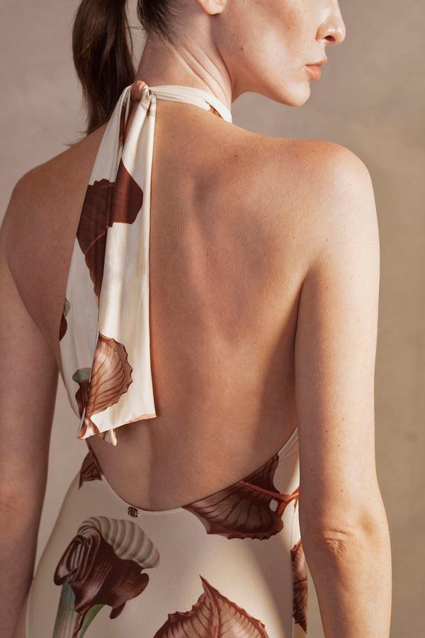 Adriana Degreas Arisaema Halterneck Swimsuit