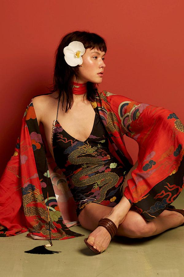 adriana degreas Dragoon Halterneck Swimsuit