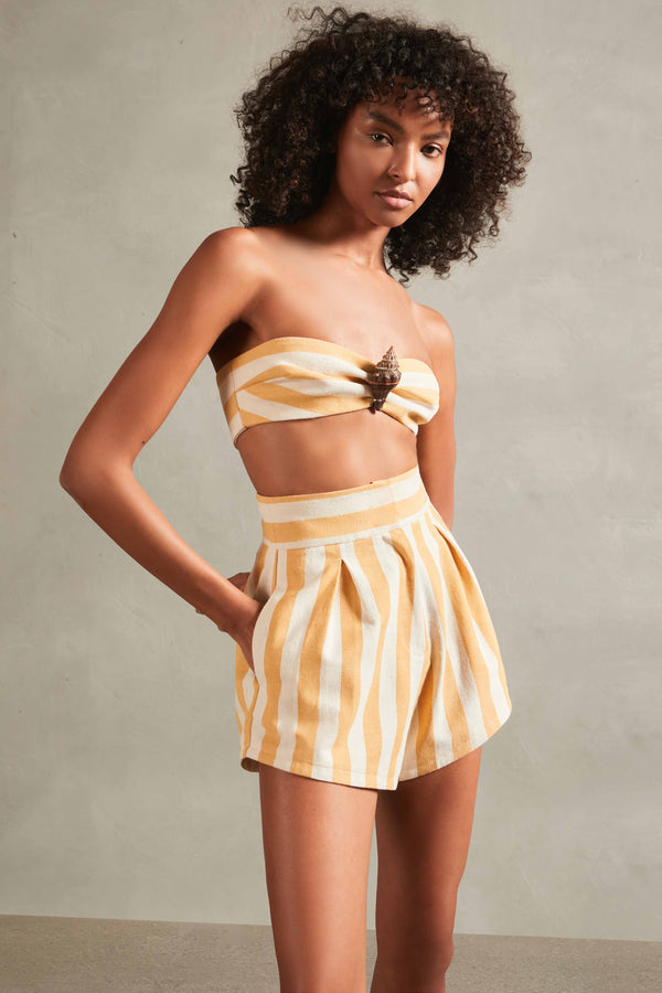 adriana degreas Riviera Striped Pleated Shorts