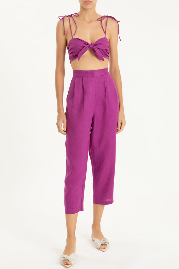 adriana degreas Solid Carrot Pants