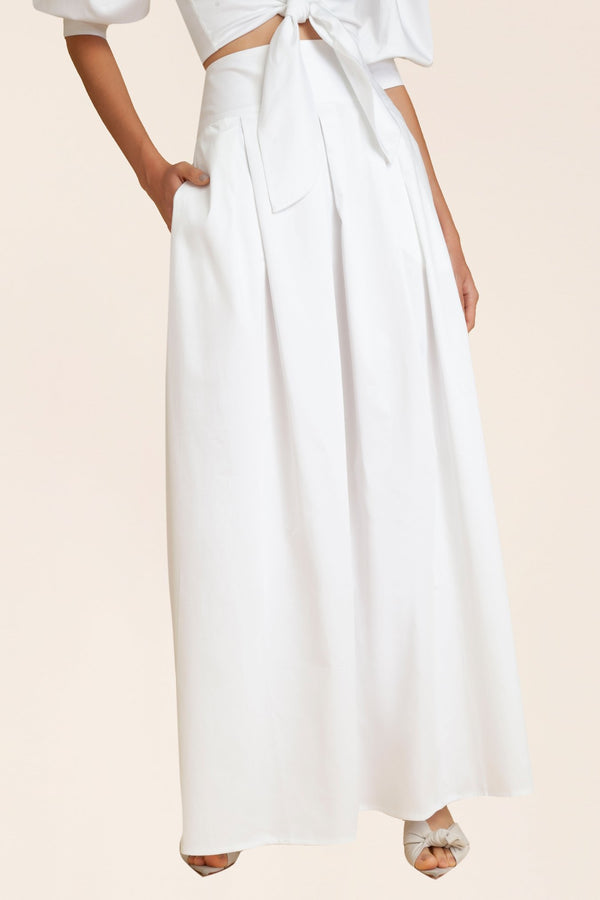 Adriana Degreas Solid Pleated Long Skirt