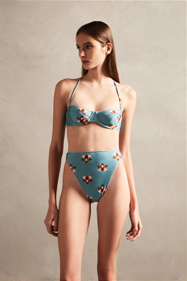 adriana degreas Vintage Orchid High-Leg Bikini