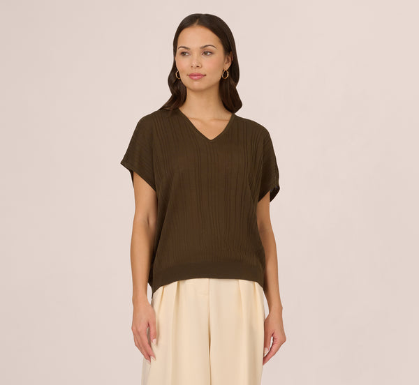 Adrianna Papell Short Sleeve Lightweight Rib Knit Sweater Top In Chocolate Walnut