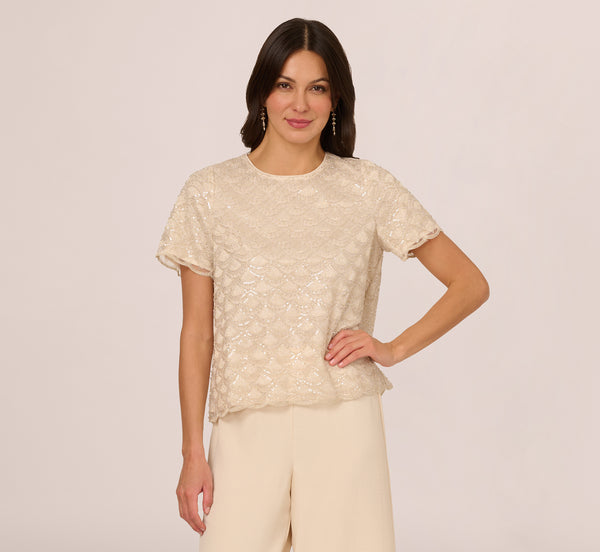 Adrianna Papell Short Sleeve Sequin Overlay Top In Pale Taupe
