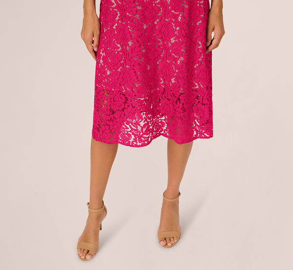 Adrianna Papell Sleeveless Lace Fit And Flare Dress With Sheer Details In Tropical Pink