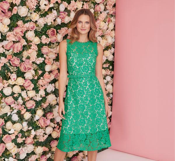 adrianna papell Sleeveless Lace Fit And Flare Dress With Sheer Details In Botanic Green