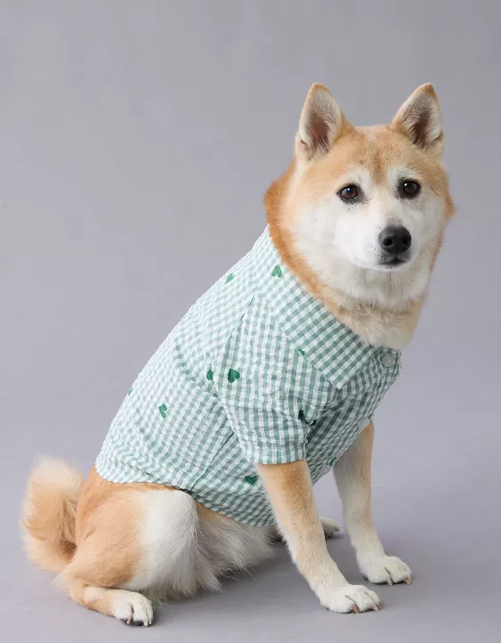 Aeo ABO Gingham Hearts Button-Up Dog Shirt