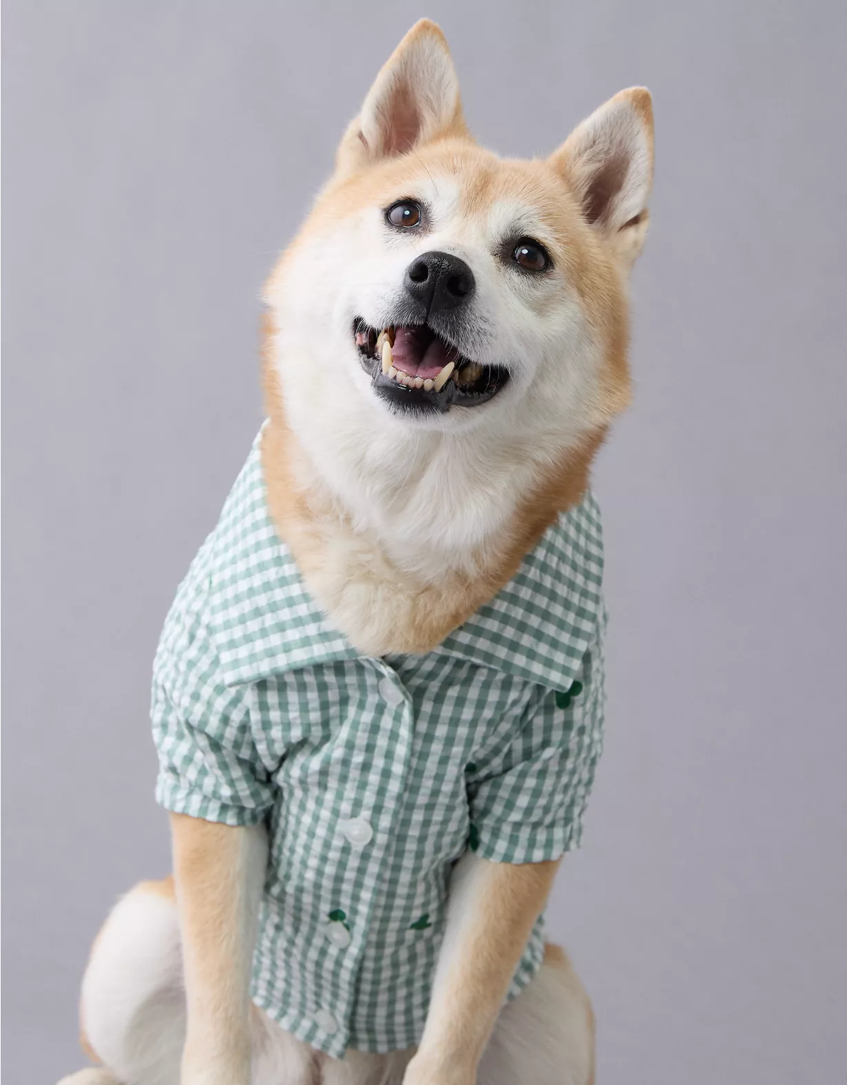 aeo ABO Gingham Hearts Button-Up Dog Shirt