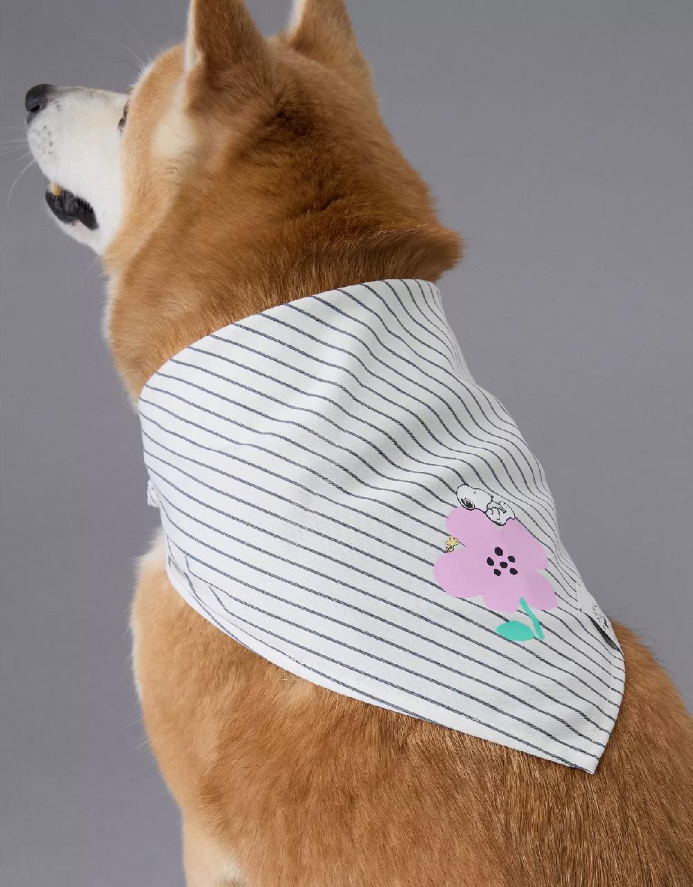 aeo ABO Gingham Snoopy Dog Bandana