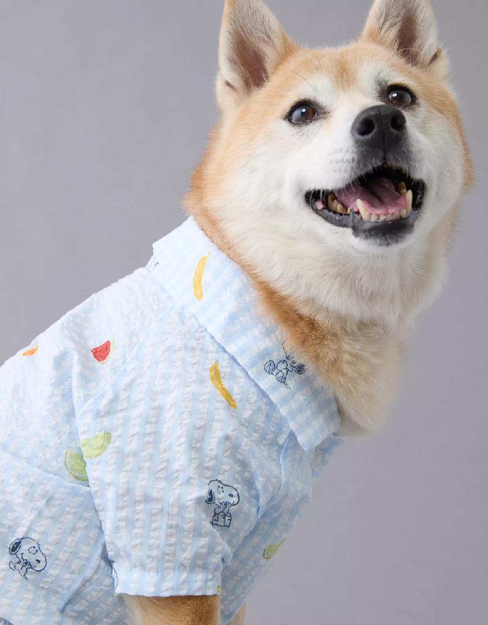aeo ABO Snoopy Fruit Button-Up Dog Shirt
