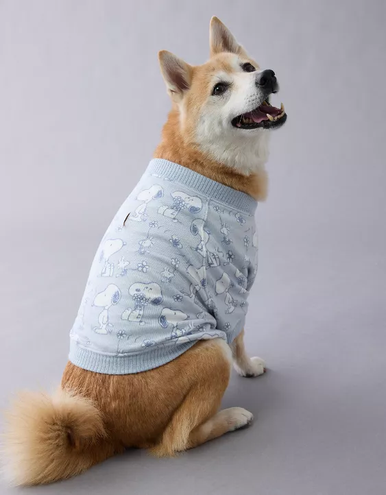 Aeo ABO Snoopy Plush Dog PJ Set