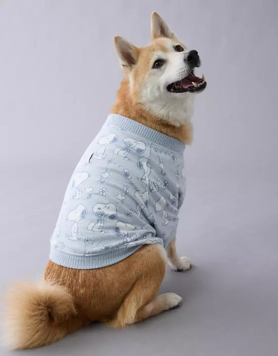 Aeo ABO Snoopy Plush Dog PJ Set