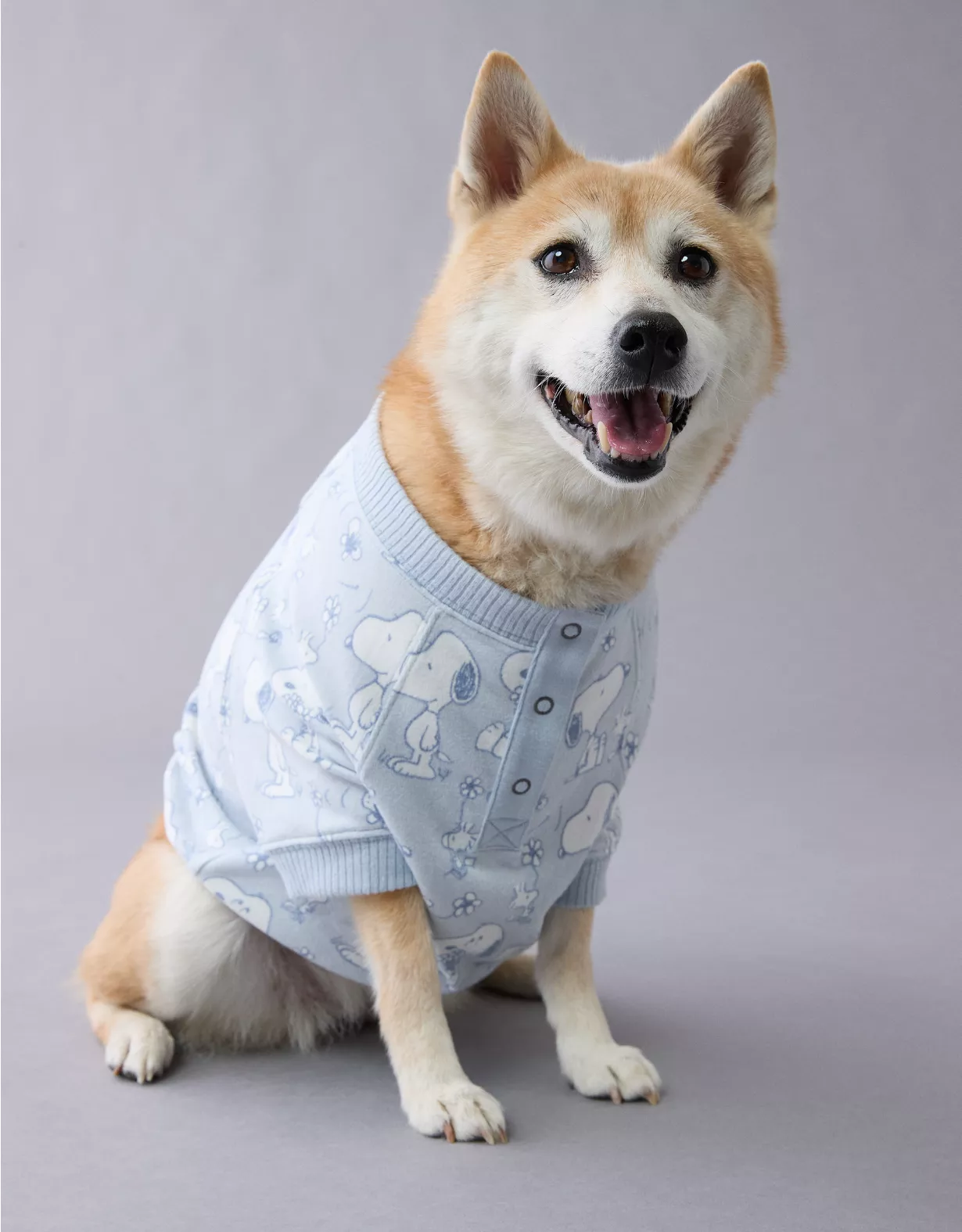 aeo ABO Snoopy Plush Dog PJ Set