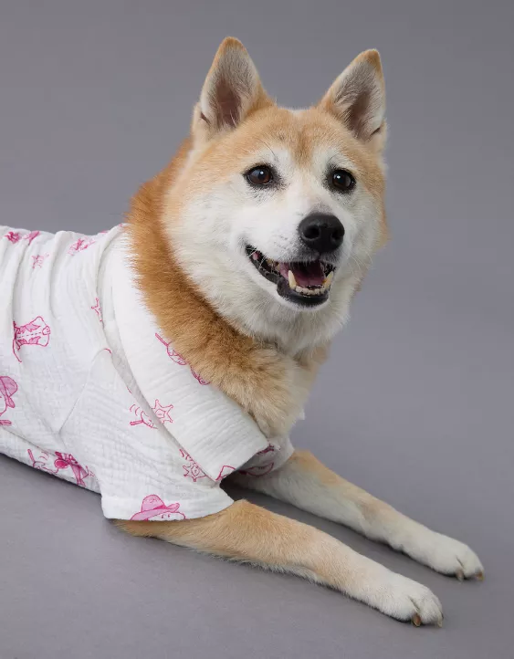 Aeo ABO Snoopy Western Button-Up Shirt