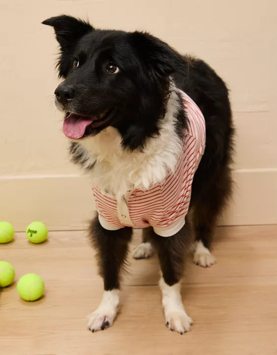 Aeo ABO Striped Plush PJ Top
