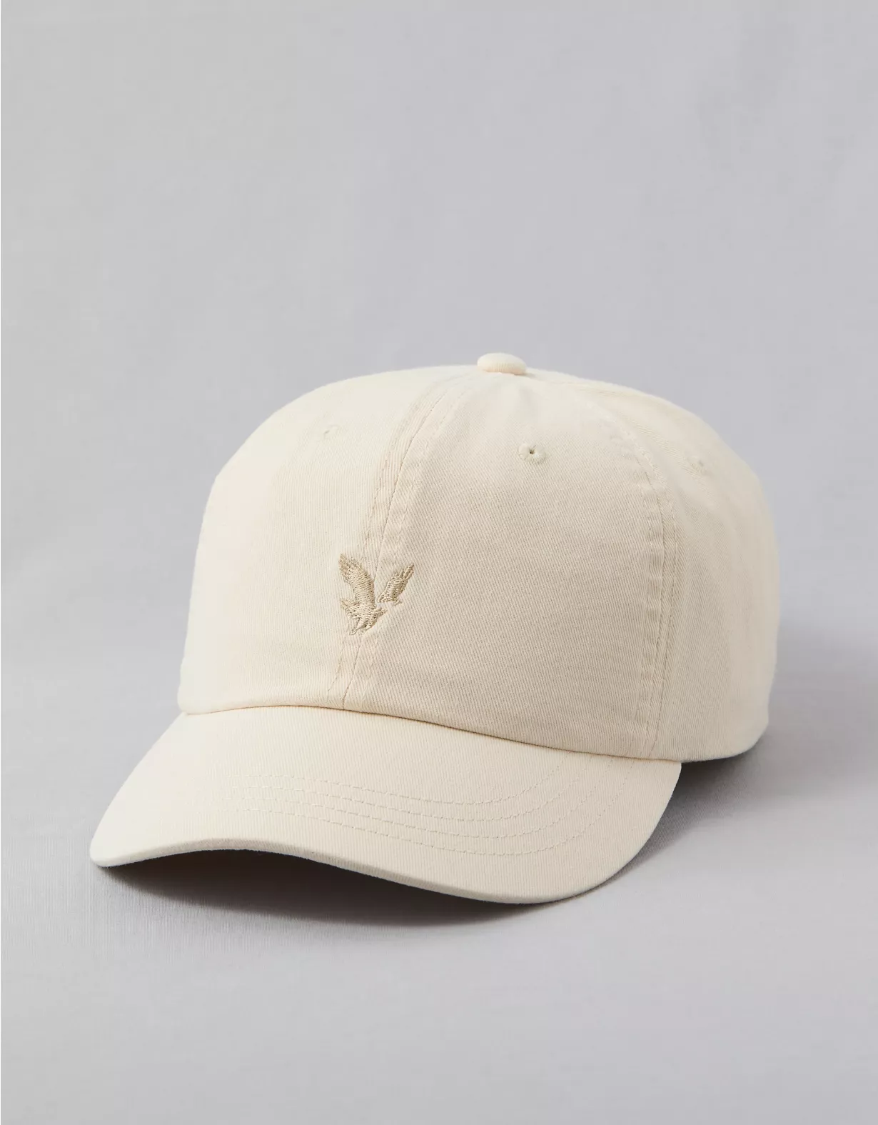 aeo AE Baseball Hat