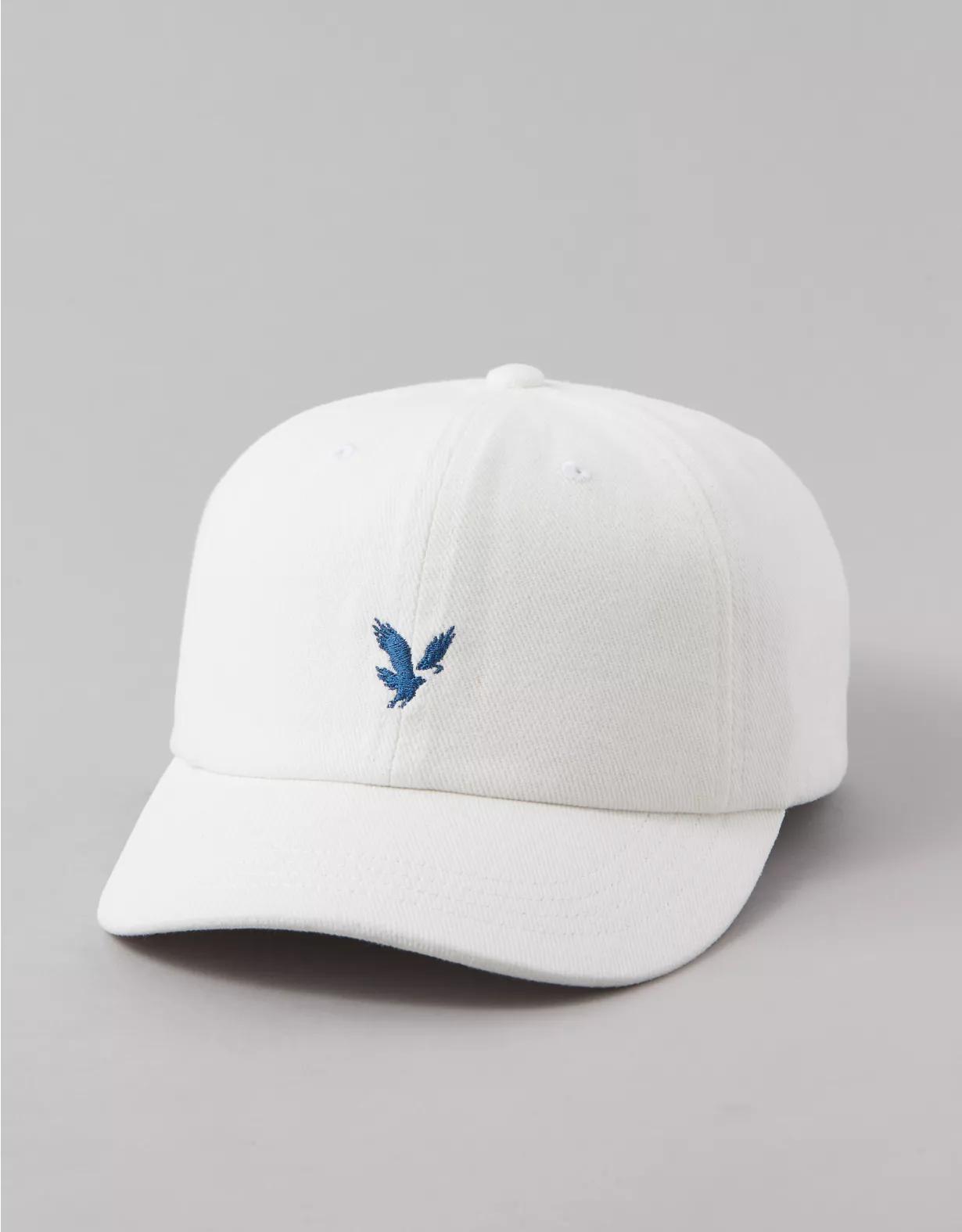 aeo AE Baseball Hat