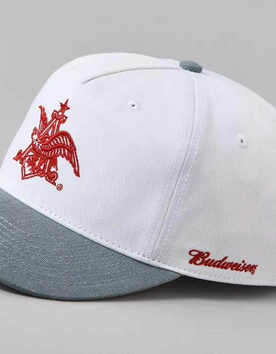 Aeo AE Budweiser Baseball Hat