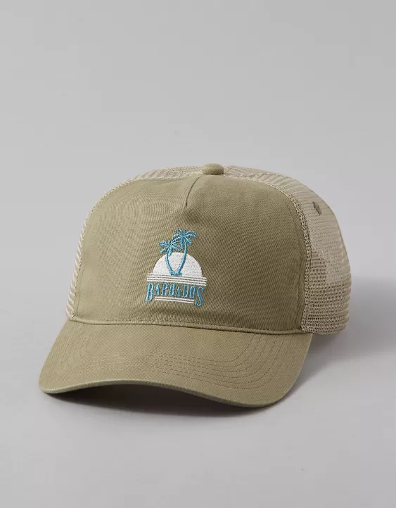 Aeo AE Destination Trucker Hat