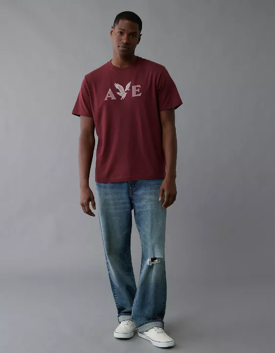Aeo AE Icon Logo Graphic T-Shirt