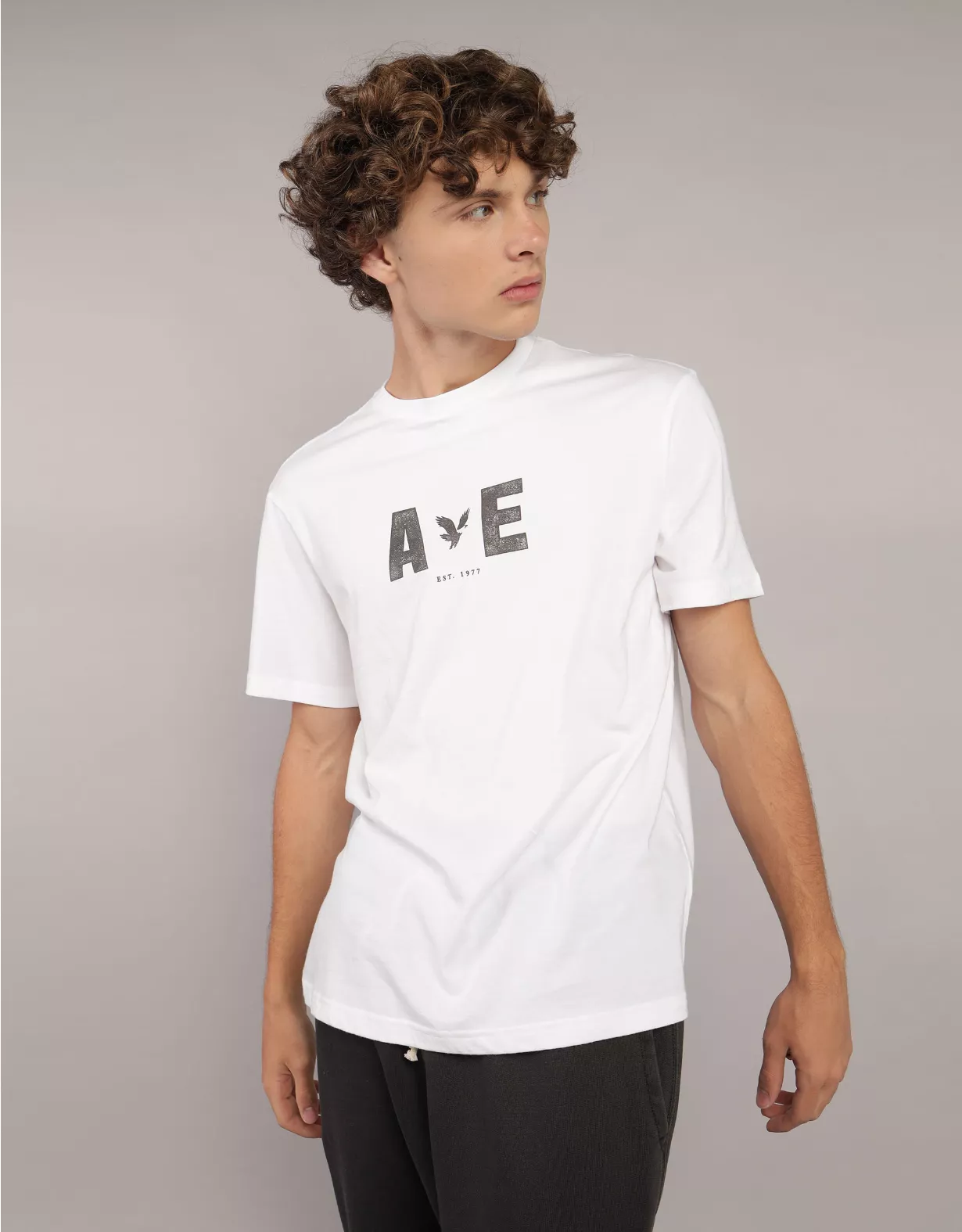 aeo AE Icon Logo Graphic T-Shirt