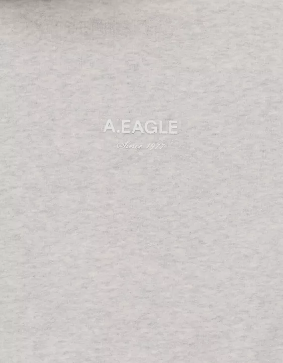 Aeo AE Laidback Luxe Heavyweight Logo Hoodie
