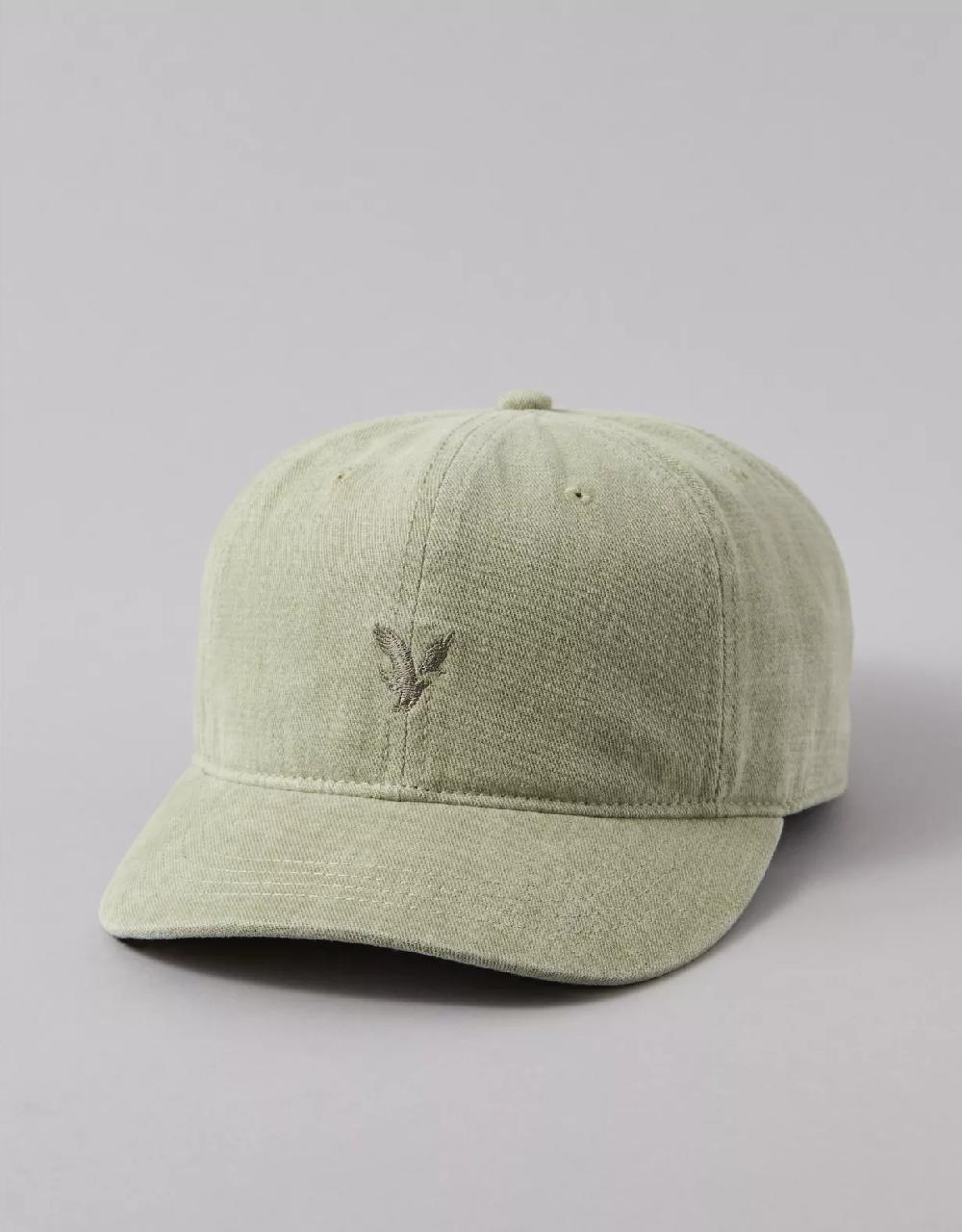 aeo AE Logo Baseball Hat