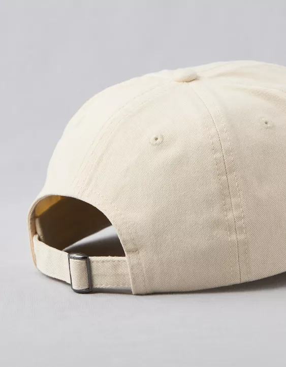 Aeo AE Logo Baseball Hat