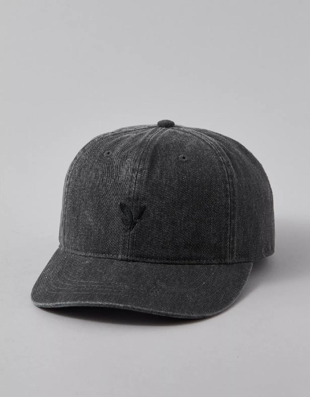aeo AE Logo Baseball Hat