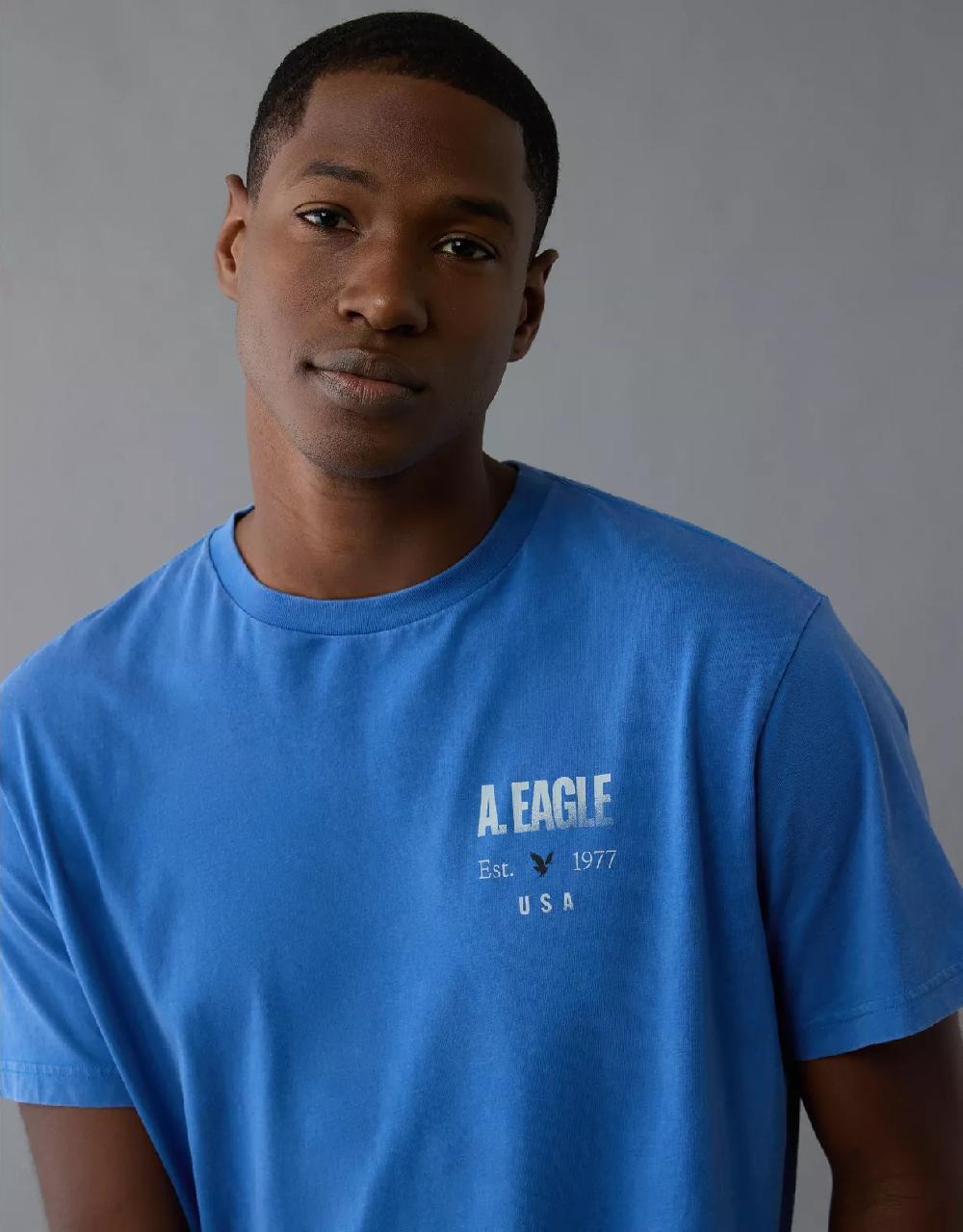 aeo AE Logo Graphic T-Shirt