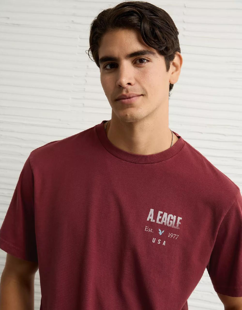 aeo AE Logo Graphic T-Shirt