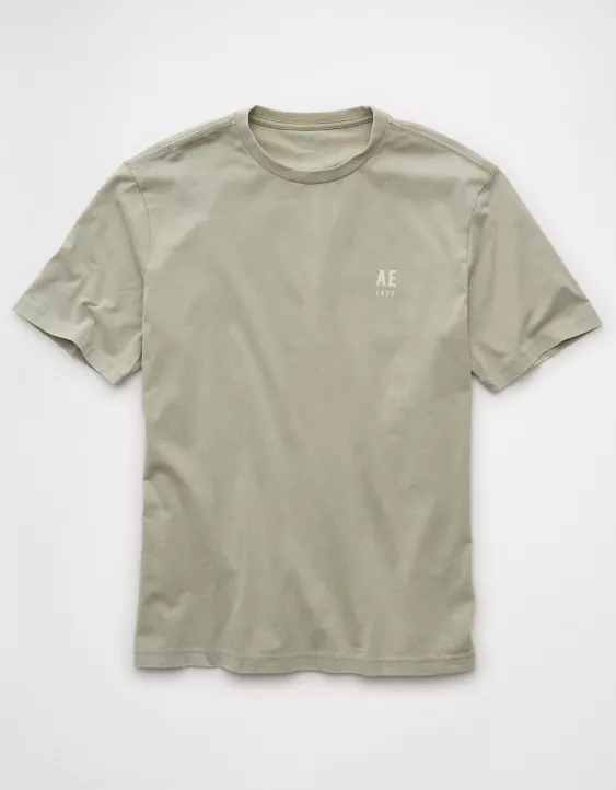 Aeo AE Logo Graphic T-Shirt