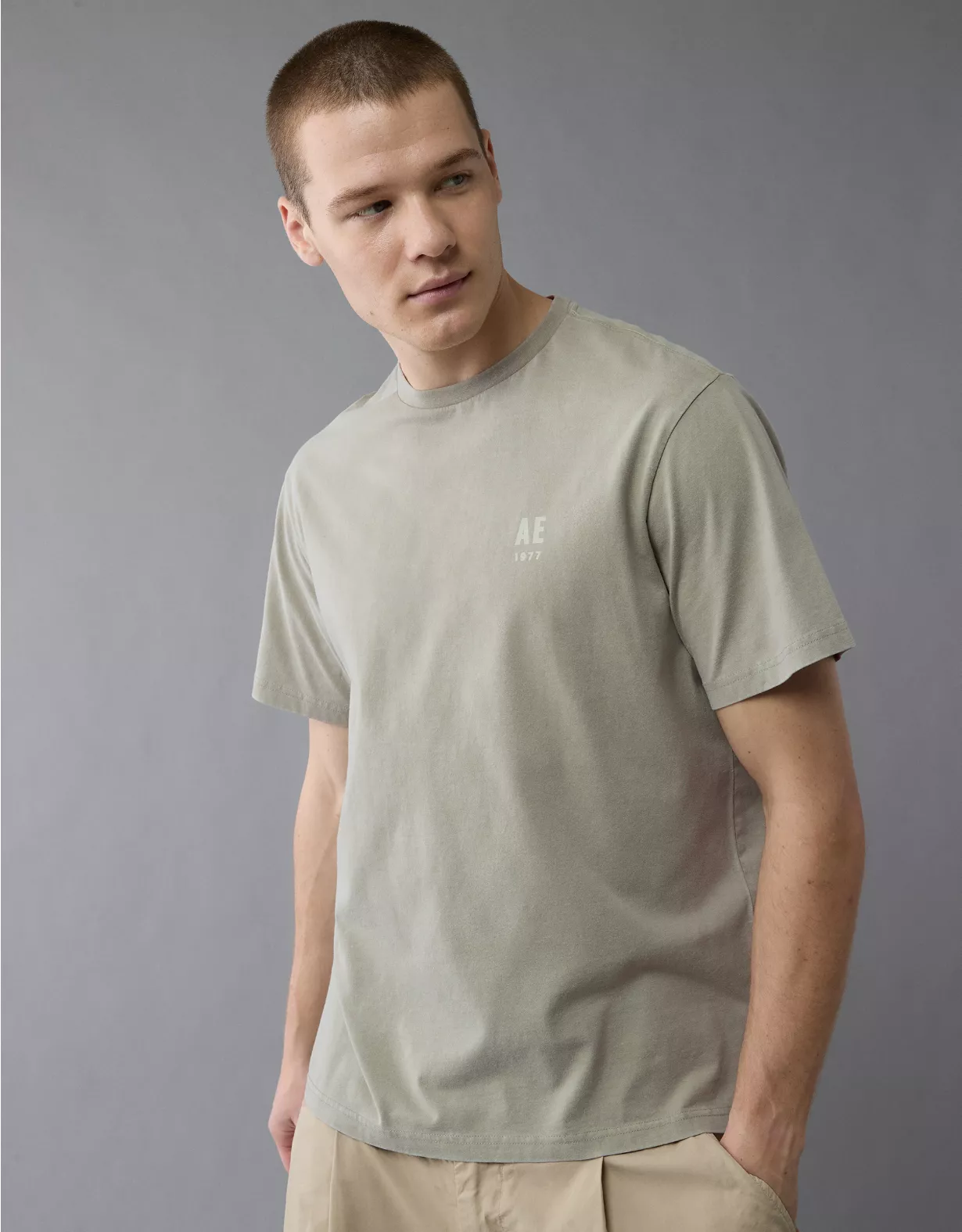 aeo AE Logo Graphic T-Shirt