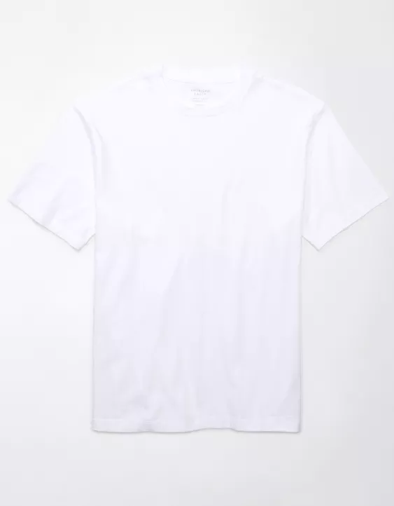 Aeo AE Logo Lived-In T-Shirt