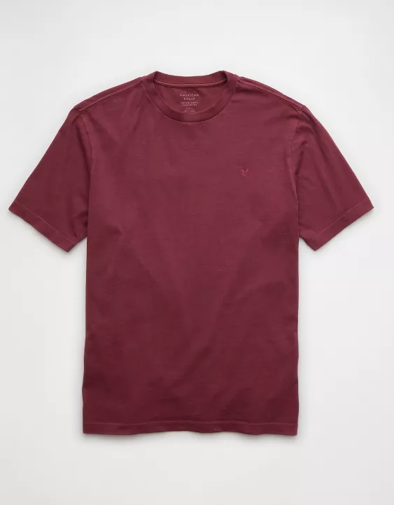 Aeo AE Logo Lived-In T-Shirt